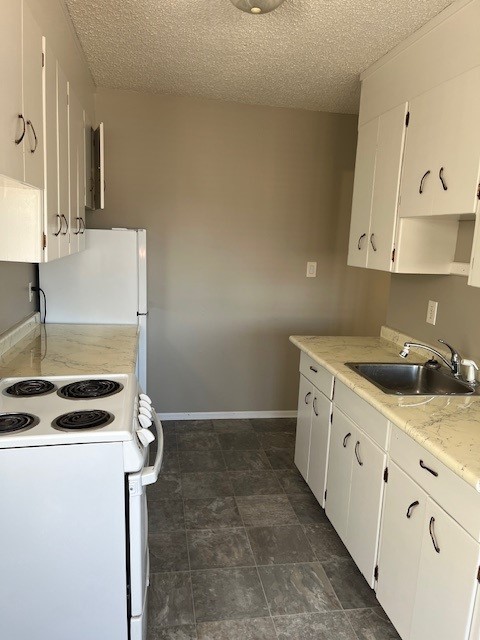 Spacious Bright 1 Bedroom Avalon Area